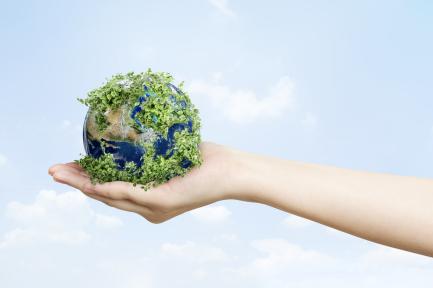 Factory Cleaner Production: A Model for Pursuing Excellent Quality and Environmental Responsibility