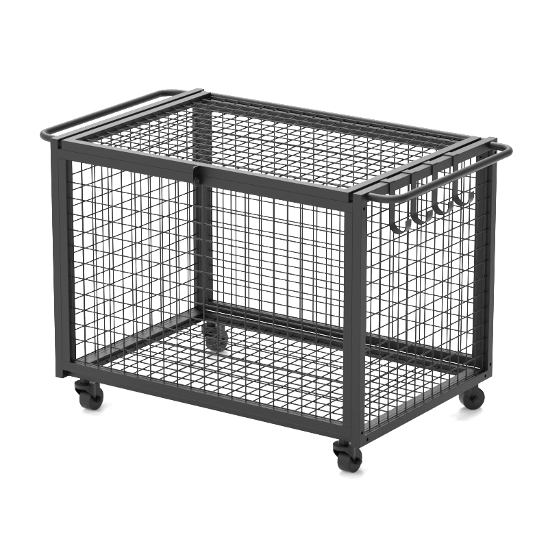 sports ball storage