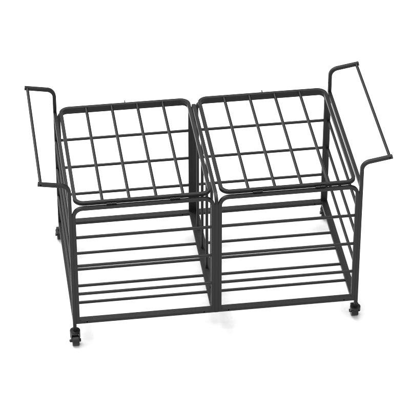 sports ball storage